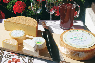 formaggio e altri prodotti latici altoatesini